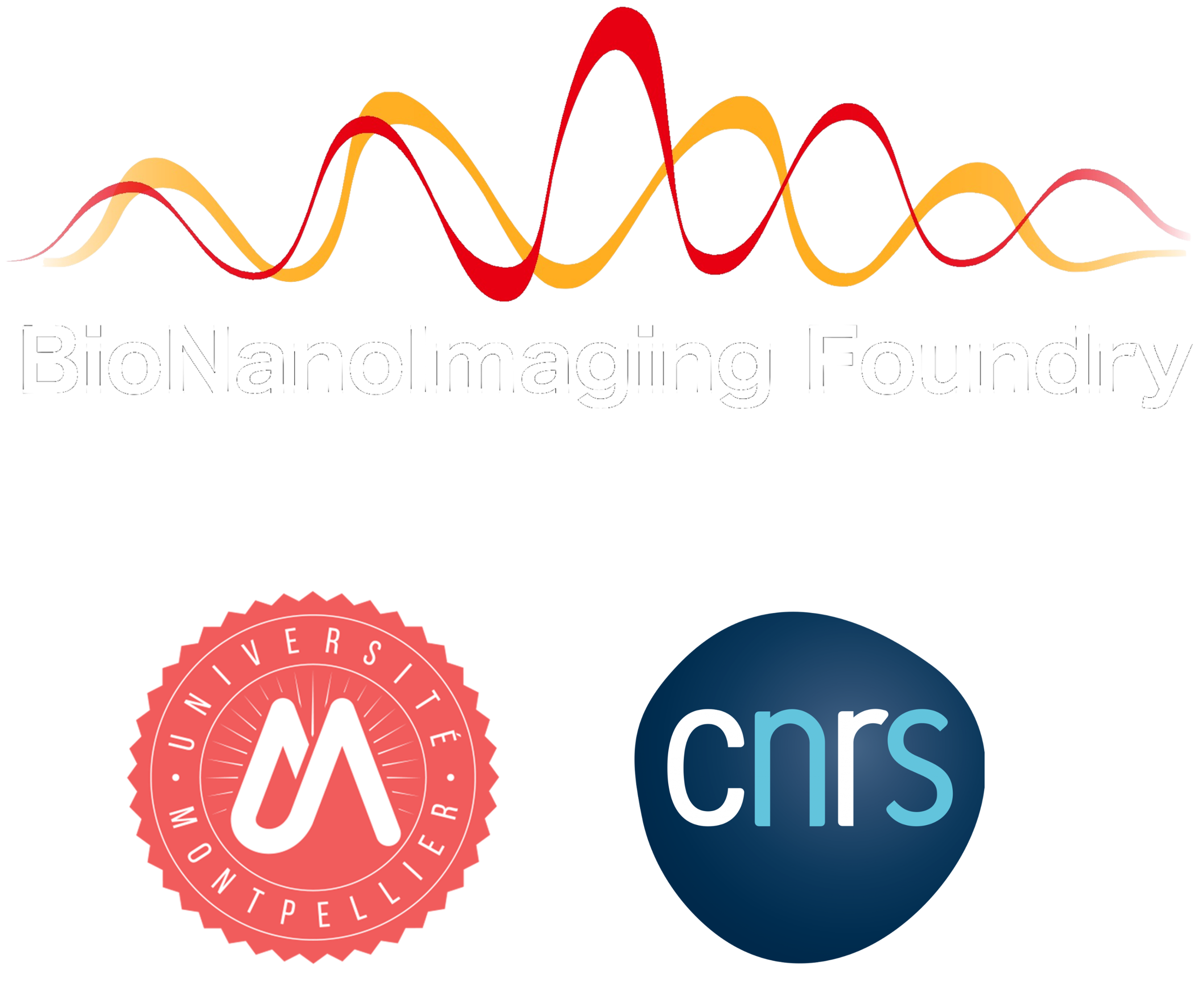 BioNanoImaging Foundry